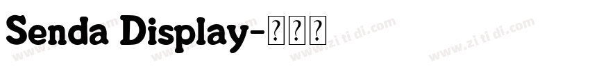 Senda Display字体转换